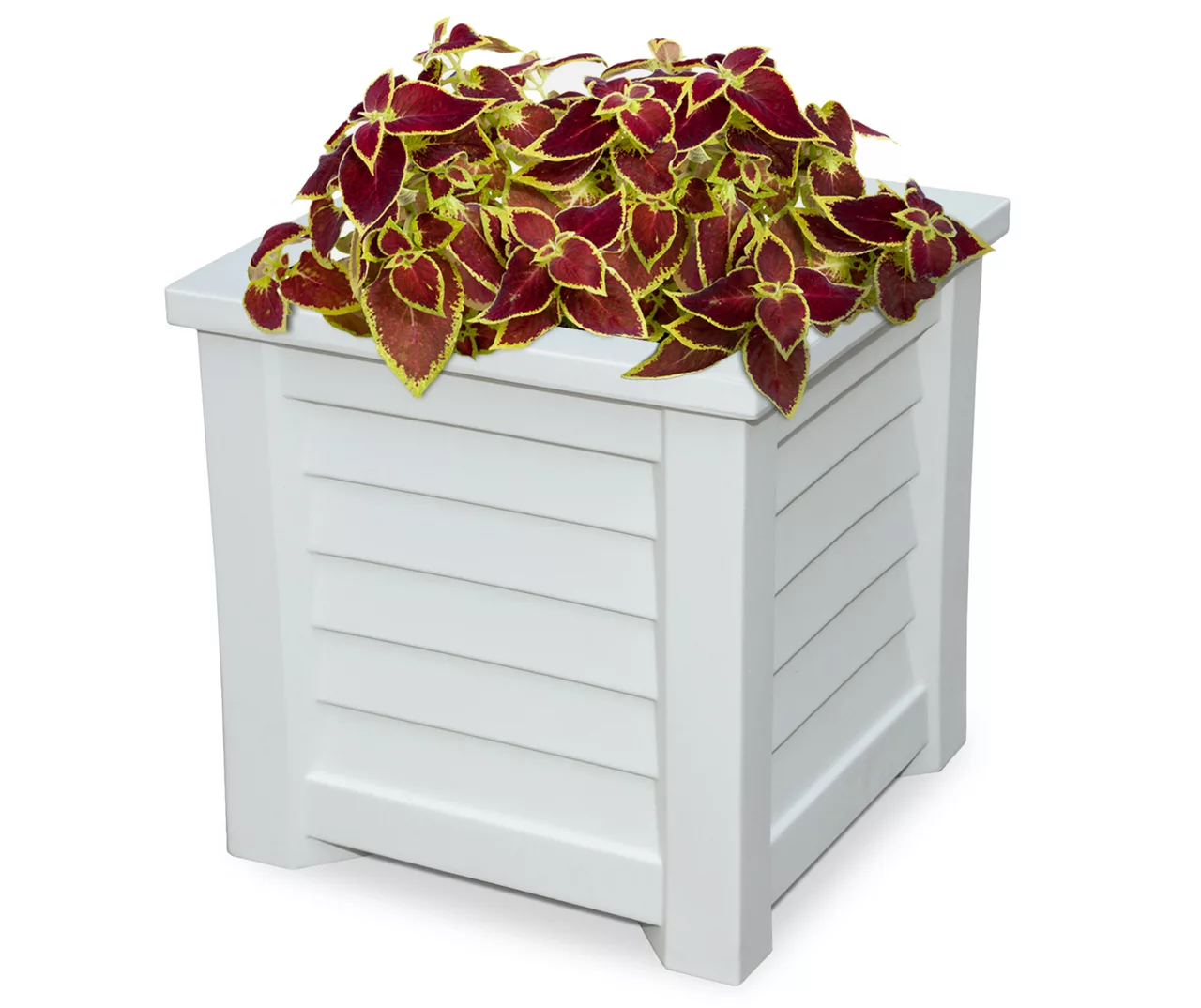 Mayne Inc. Lakeland 16" Square Planter 6 Mayne Inc. Lakeland 16" Square Planter - Image 4