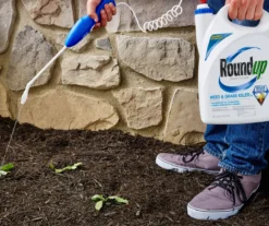 Roundup Ready-To-Use Weed & Grass Killer III With Comfort Wand, 1.33 Gal. -Garden Furniture Store 810543472 4