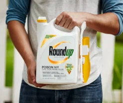 Roundup Ready-To-Use Poison Ivy Plus Tough Brush Killer With Comfort Wand, 1.33 Gal. -Garden Furniture Store 810543477 3