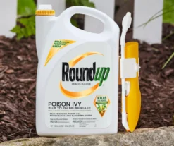 Roundup Ready-To-Use Poison Ivy Plus Tough Brush Killer With Comfort Wand, 1.33 Gal. -Garden Furniture Store 810543477 4