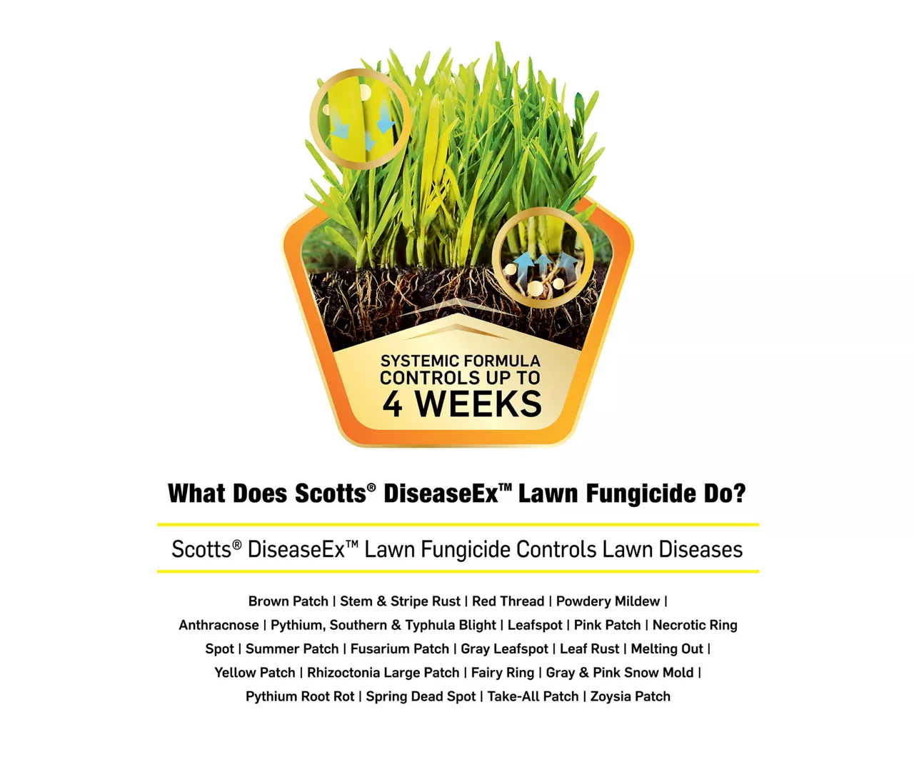 DiseaseEx Lawn Fungicide, 10 Lbs. 8 DiseaseEx Lawn Fungicide, 10 Lbs. - Image 6