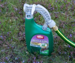 Weed B Gon Chickweed, Clover & Oxalis Killer For Lawns Ready-To-Spray, 32 Oz. -Garden Furniture Store 810543513 3