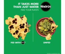 LiquaFeed 4-Piece All Purpose Plant Food Advance Starter Kit & Bloom Booster Flower Food Bundle 15 LiquaFeed 4-Piece All Purpose Plant Food Advance Starter Kit & Bloom Booster Flower Food Bundle -Garden Furniture Store 810543527 6