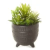 Succulent Arrangement In Black Footed Ceramic Pot -Garden Furniture Store 810548733