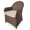 Broyhill Autumn Cove All-Weather Wicker Cushioned Patio Captain's Dining Chair 2 Broyhill Autumn Cove All-Weather Wicker Cushioned Patio Captain's Dining Chair -Garden Furniture Store 810554526