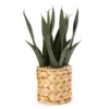 Artificial Snake Plant In Woven Basket 2 Artificial Snake Plant In Woven Basket -Garden Furniture Store 810586790 A0 1