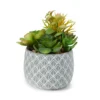 Artificial Succulent Medley In Leaf Carved Cement Pot -Garden Furniture Store 810586811 A0 1