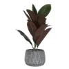 Artificial Red & Green Leaf Plant In Carved Cement Pot 1 Artificial Red & Green Leaf Plant In Carved Cement Pot -Garden Furniture Store 810587107 A0
