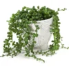 Artificial String Of Pearls Plant In White Herringbone Footed Pot -Garden Furniture Store 810587228 A0 1