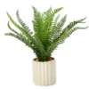 Artificial Fern In White Ribbed Pot 2 Artificial Fern In White Ribbed Pot -Garden Furniture Store 810587391 A0 1