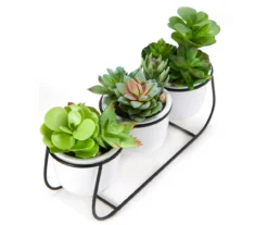 Artificial Succulents In White Pots & Metal Stand -Garden Furniture Store 810588973 A8 2