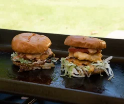 2-Burner Portable Gas Griddle 17 2-Burner Portable Gas Griddle -Garden Furniture Store 810590437 7